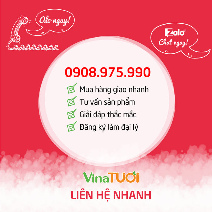 lien-he-vina-tuoi