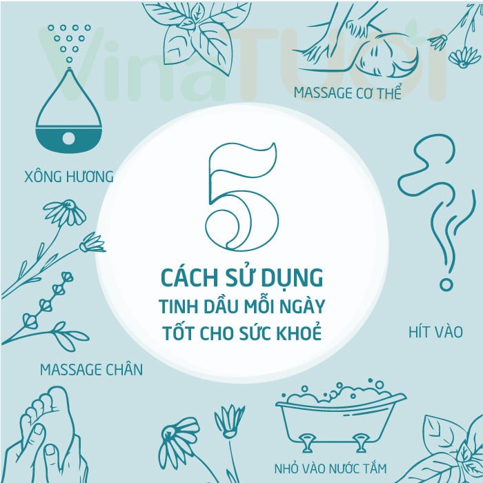 5-cong-dung-tinh-dau-moi-ngay