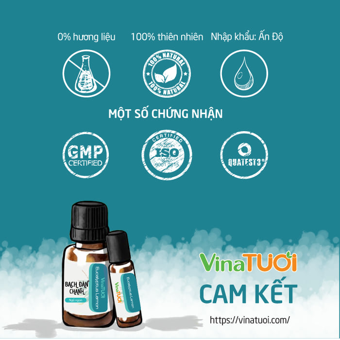 chung-nhan-tinh-dau-bach-dan-chanh