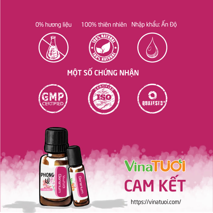 chung-nhan-tinh-dau-phong-lu