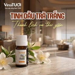 Tinh dầu Trà Trắng với mùi hương thanh lịch và thư giãn