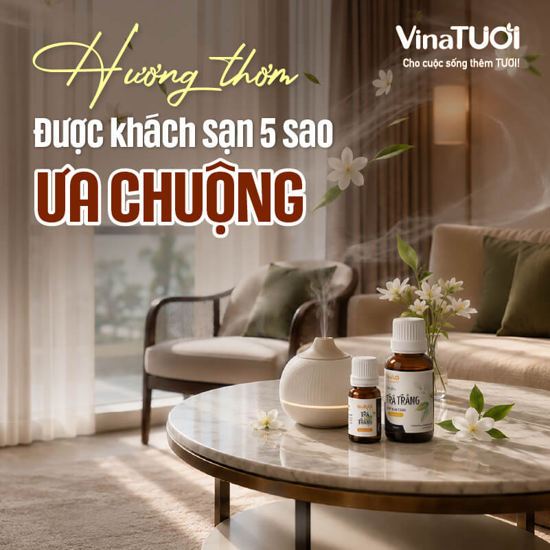 khach-san-5-sao-ua-chuong-tinh-dau-tra-trang Tinh dầu Trà Trắng được nhiều khách sạn 5 sao lựa chọn nhờ mùi hương sang trọng