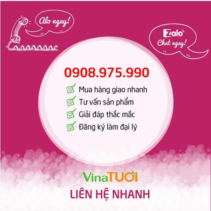 lien-he-vina-tuoi
