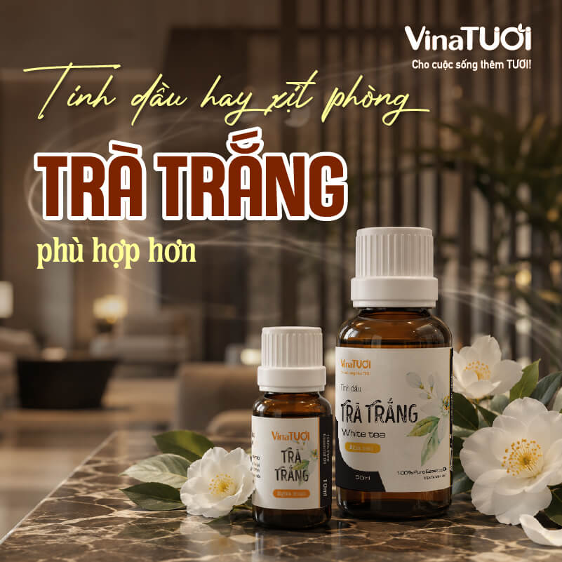 nen-dung-tinh-dau-hay-xit-phong-tra-trang Nên dùng tinh dầu hay xịt phòng Trà Trắng để tạo mùi hương cho không gian