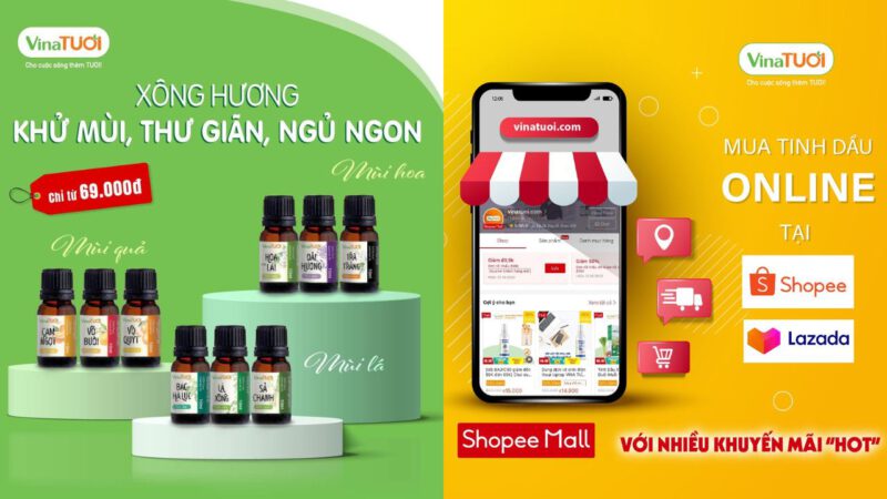 Chuột sợ mùi gì nhất? 20+ Cách đuổi chuột ra khỏi nhà đơn giản
