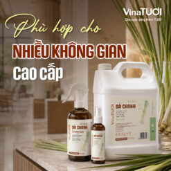 Mùi sả chanh phù hợp với nhiều không gian nhà hàng khách sạn