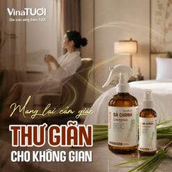 Xịt phòng tinh dầu sả chanh mang lại cảm giác thư giãn cho không gian