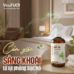 Xịt phòng bạc hà mang lại cảm giác sảng khoái cho không gian nhà hàng khách sạn