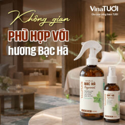 Không gian phù hợp sử dụng hương bạc hà trong nhà hàng khách sạn