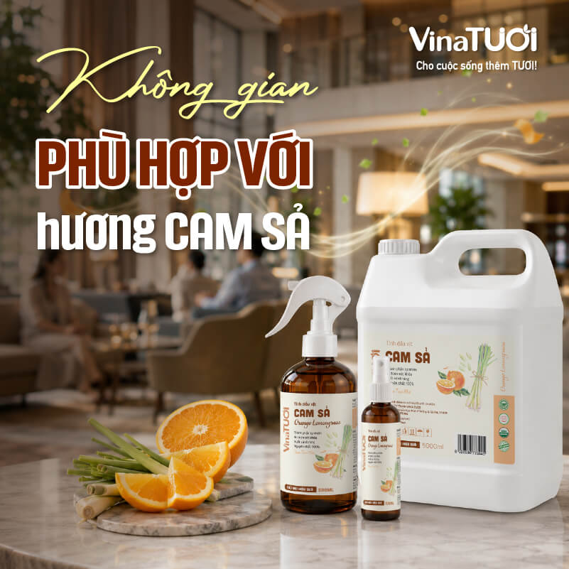 khong-gian-phu-hop-voi-huong-cam-sa Không gian phù hợp sử dụng hương cam sả trong nhà hàng khách sạn
