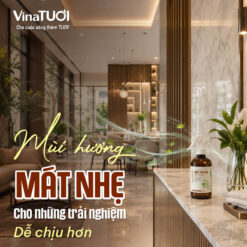 Mùi hương mát nhẹ phù hợp cho không gian dịch vụ và khách hàng
