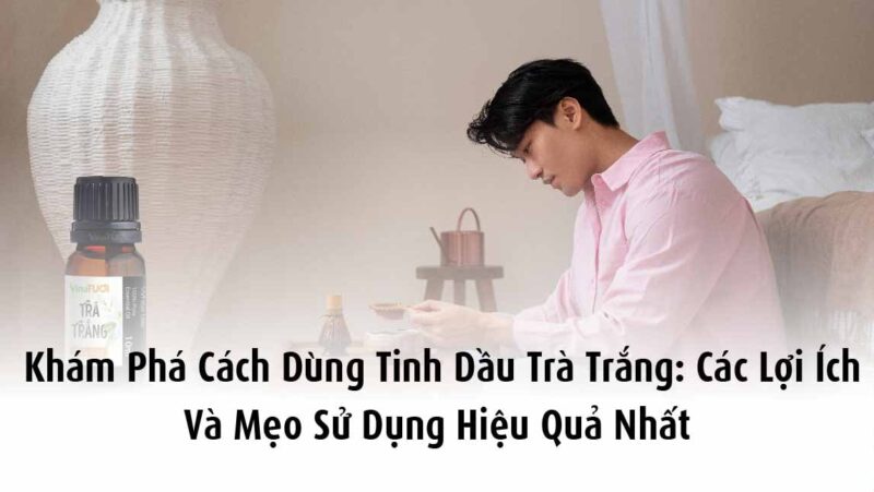Khám phá cách dùng tinh dầu trà trắng: Các lợi ích vào mẹo sử dụng tốt nhất
