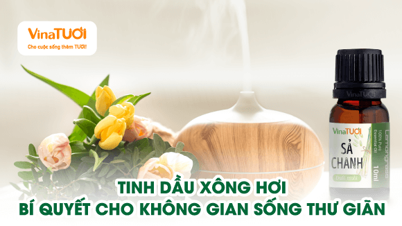 Tinh Dầu Xông Hơi: Bí Quyết Cho Không Gian Sống Thư Giãn