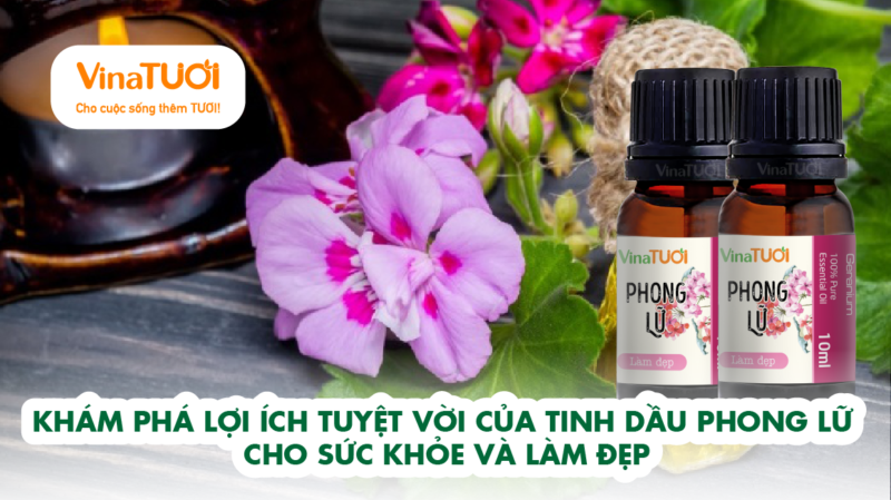 Khám Phá Lợi Ích Tuyệt Vời Của Tinh Dầu Phong Lữ Cho Sức Khỏe và Làm Đẹp