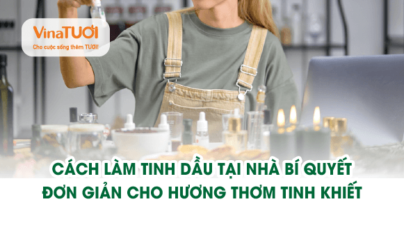 Cách làm tinh dầu tại nhà: Bí quyết cho hương thơm tinh khiết