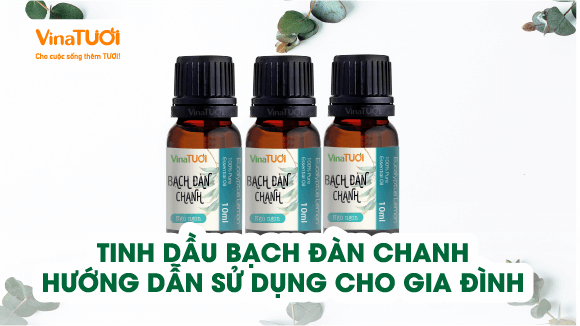 Tinh Dầu Bạch Đàn Chanh: Hướng Dẫn Sử Dụng Cho Gia Đình