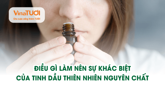 Điều gì làm nên sự khác biệt cảu tinh dầu thiên nhiên nguyên chất