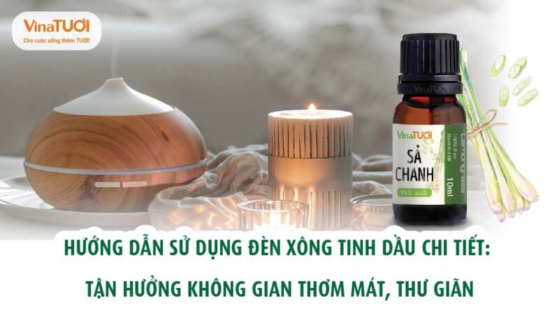 Hướng dẫn sử dụng đèn xông tinh dầu chi tiết: Tận hưởng không gian thơm mát, thư giãn