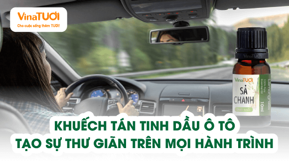 Khuếch Tán Tinh Dầu Ô tô: Tạo Sự Thư Giãn Trên Mọi Hành Trình