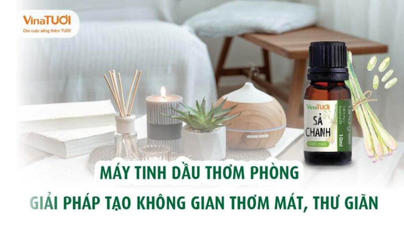 Máy tinh dầu thơm phòng - Giải pháp tạo không gian thơm mát, thư giãn