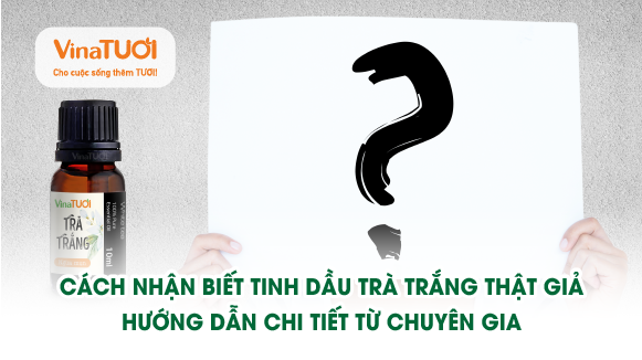 Cách nhận biết tinh dầu trà trắng thật giả: Hướng dẫn chi tiết từ chuyên gia