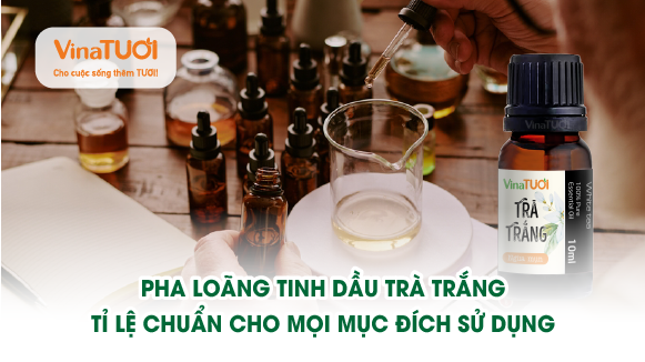 Pha loãng tinh dầu trà trắng: Tỉ lệ chuẩn cho mọi mục đích sử dụng