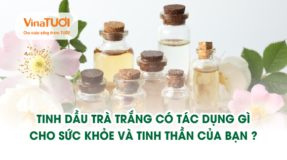 Tinh dầu trà trắng có tác dụng gì cho sức khỏe và tinh thần của bạn?