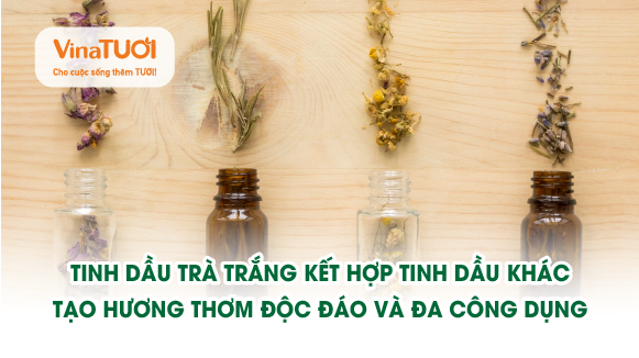 Tinh Dầu Trà Trắng Kết Hợp Tinh Dầu Khác: Tạo Hương Thơm Độc Đáo Và Đa Công Dụng
