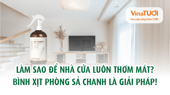 Làm sao để nhà cửa luôn thơm mát? bình xịt phòng sả chanh là giải pháp!