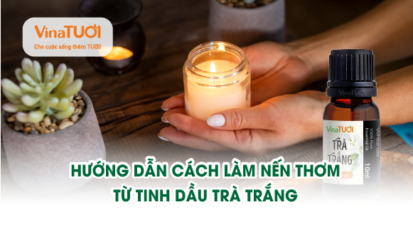 Hướng dẫn cách làm nến thơm từ tinh dầu trà trắng