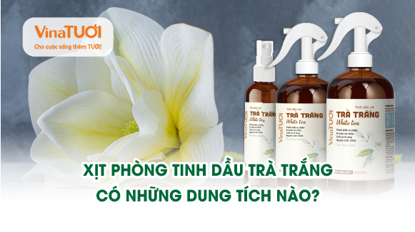 Xịt phòng tinh dầu trà trắng có những dung tích nào?