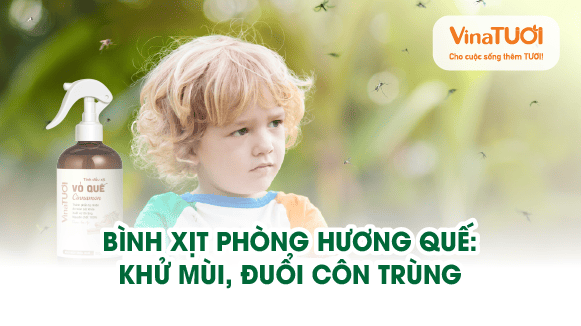 Bình xịt phòng hương quế: khử mùi, đuổi côn trùng, mang lại không gian thoải mái