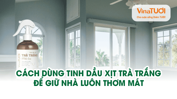 Cách dùng tinh dầu xịt trà trắng để giữ nhà luôn thơm mát