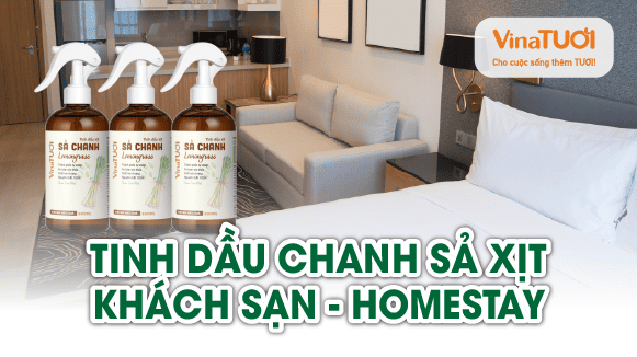 Tinh dầu chanh sả xịt cho khách sạn – Homestay: vừa thơm mát, vừa sang trọng
