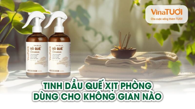 Tinh dầu quế xịt phòng dùng cho không gian nào là phù hợp nhất?