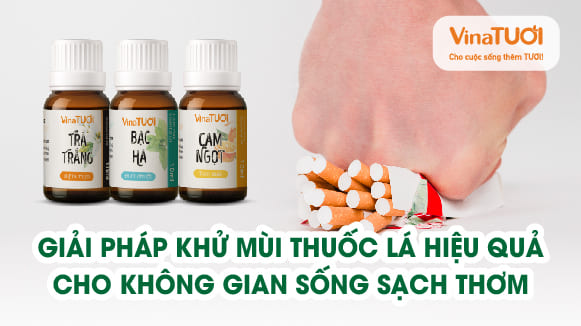 Giải pháp khử mùi thuốc lá hiệu quả cho không gian sống sạch thơm