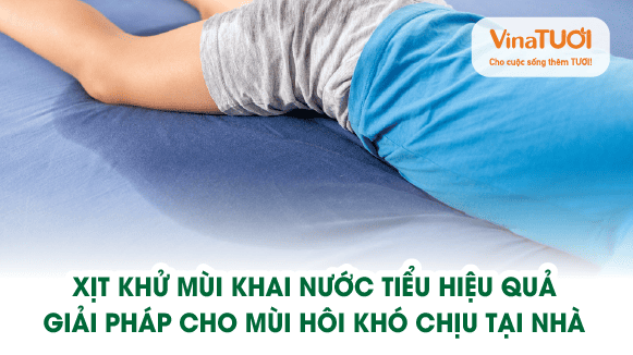 Xịt khử mùi khai nước tiểu hiệu quả – Giải pháp cho mùi hôi khó chịu tại nhà