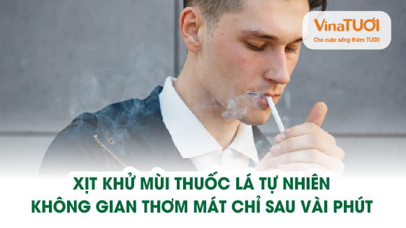 Xịt khử mùi thuốc lá tự nhiên – Không gian thơm mát chỉ sau vài phút
