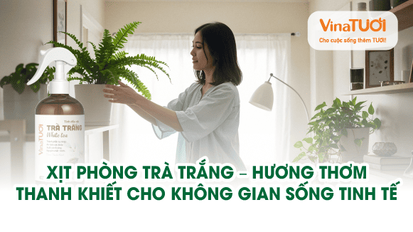 Xịt phòng trà trắng – hương thơm thanh khiết cho không gian sống tinh tế