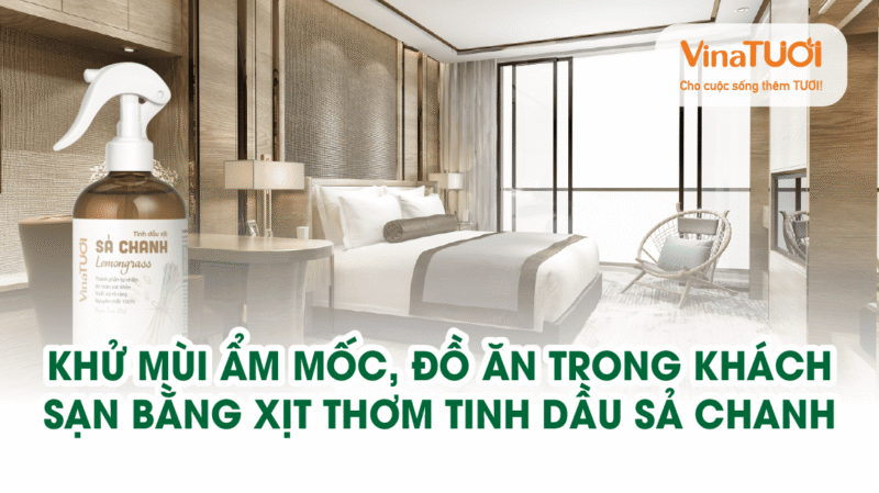 Khử mùi ẩm mốc, thuốc lá, đồ ăn trong khách sạn bằng xịt thơm tinh dầu sả chanh