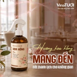 Hương hoa hồng tạo cảm giác thanh lịch và dễ chịu cho không gian dịch vụ