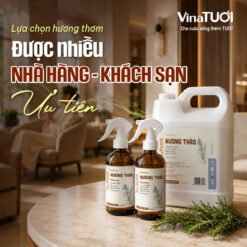Lựa chọn hương thơm được nhiều Nhà hàng – Khách sạn ưu tiên