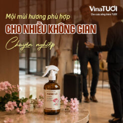 Hương phong lữ phù hợp với nhiều không gian dịch vụ và thương mại