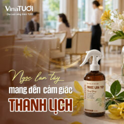 Hoa Ngọc Lan Tây tạo cảm giác thư giãn và sang trọng cho không gian