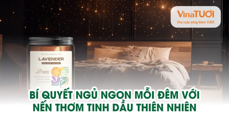 Bí quyết ngủ ngon mỗi đêm với nến thơm tinh dầu thiên nhiên