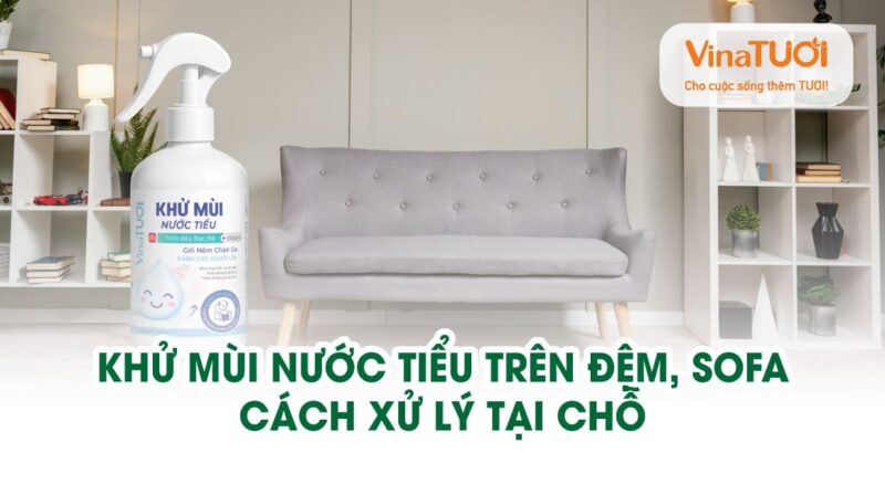 Khử mùi nước tiểu trên đệm, sofa – Cách xử lý tại chỗ