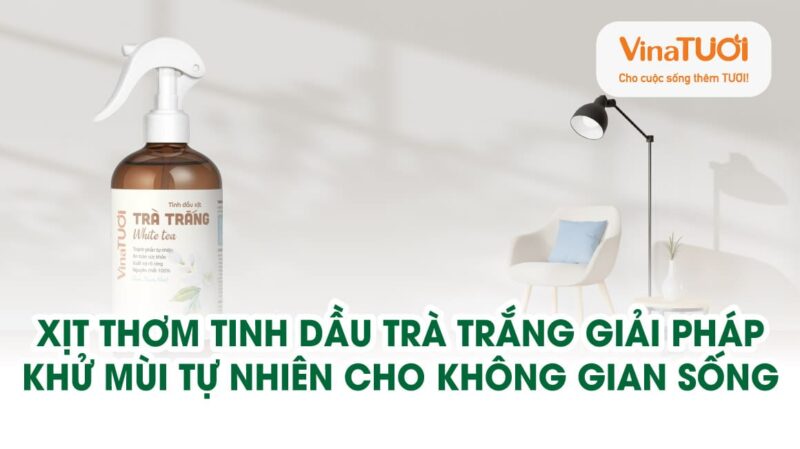 Xịt thơm tinh dầu Trà Trắng – Giải pháp khử mùi tự nhiên cho không gian sống