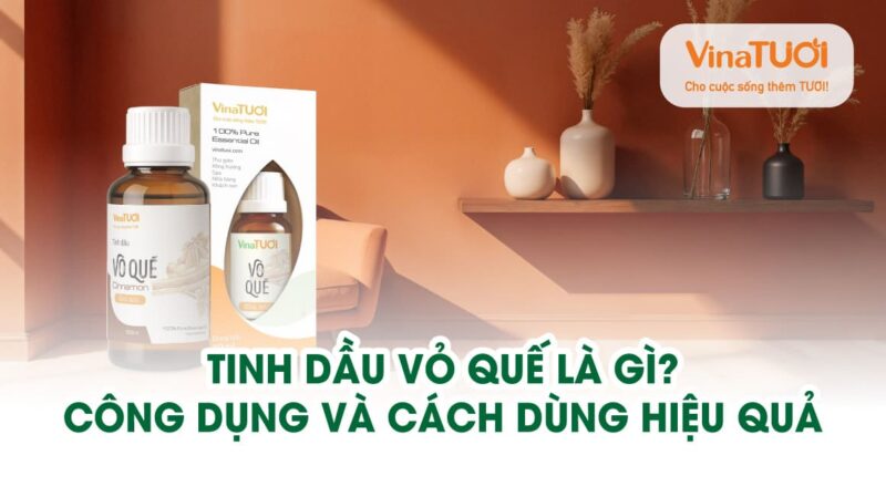 Tinh dầu Vỏ Quế là gì? Công dụng và cách dùng hiệu quả