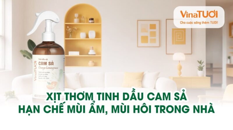Xịt thơm tinh dầu Cam Sả – Hạn chế mùi ẩm, mùi hôi trong nhà