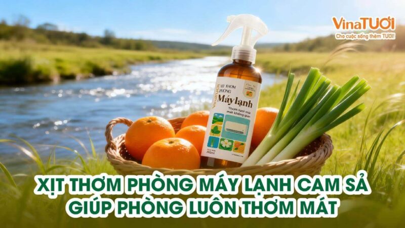 Xịt thơm phòng máy lạnh Cam Sả giúp phòng luôn thơm mát